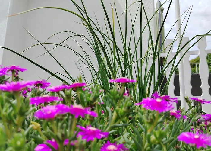 Kuca Za Odmor Elza Vila *